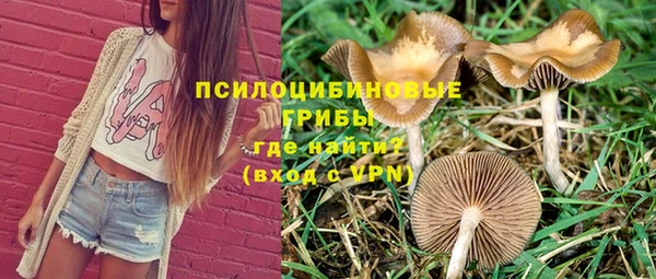 не бодяженный Зеленодольск