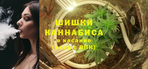 стафф Зеленокумск