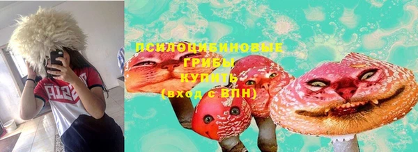 не бодяженный Зеленодольск