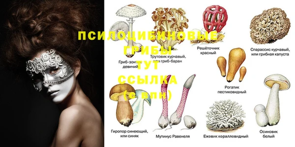 стафф Зеленокумск
