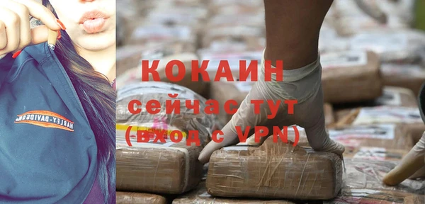 молекула духа Зерноград