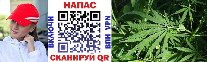 Купить где  Джанкой  Каннабис планчик 